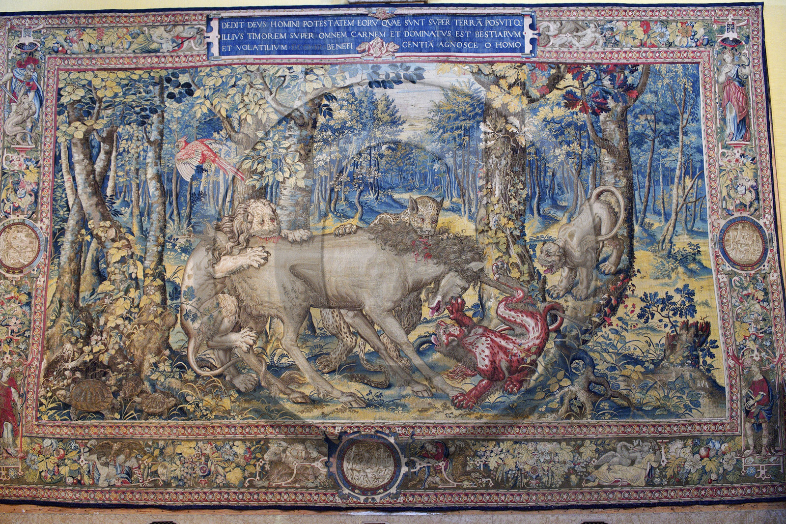 Italie piemont lac majeur lago maggiore