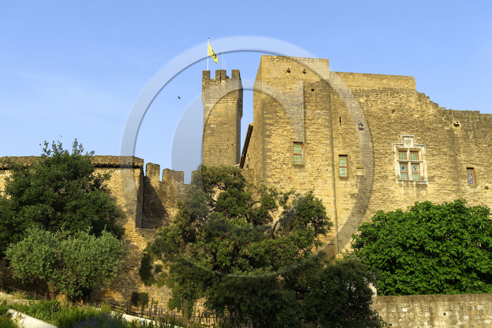 France, Salon de Provence