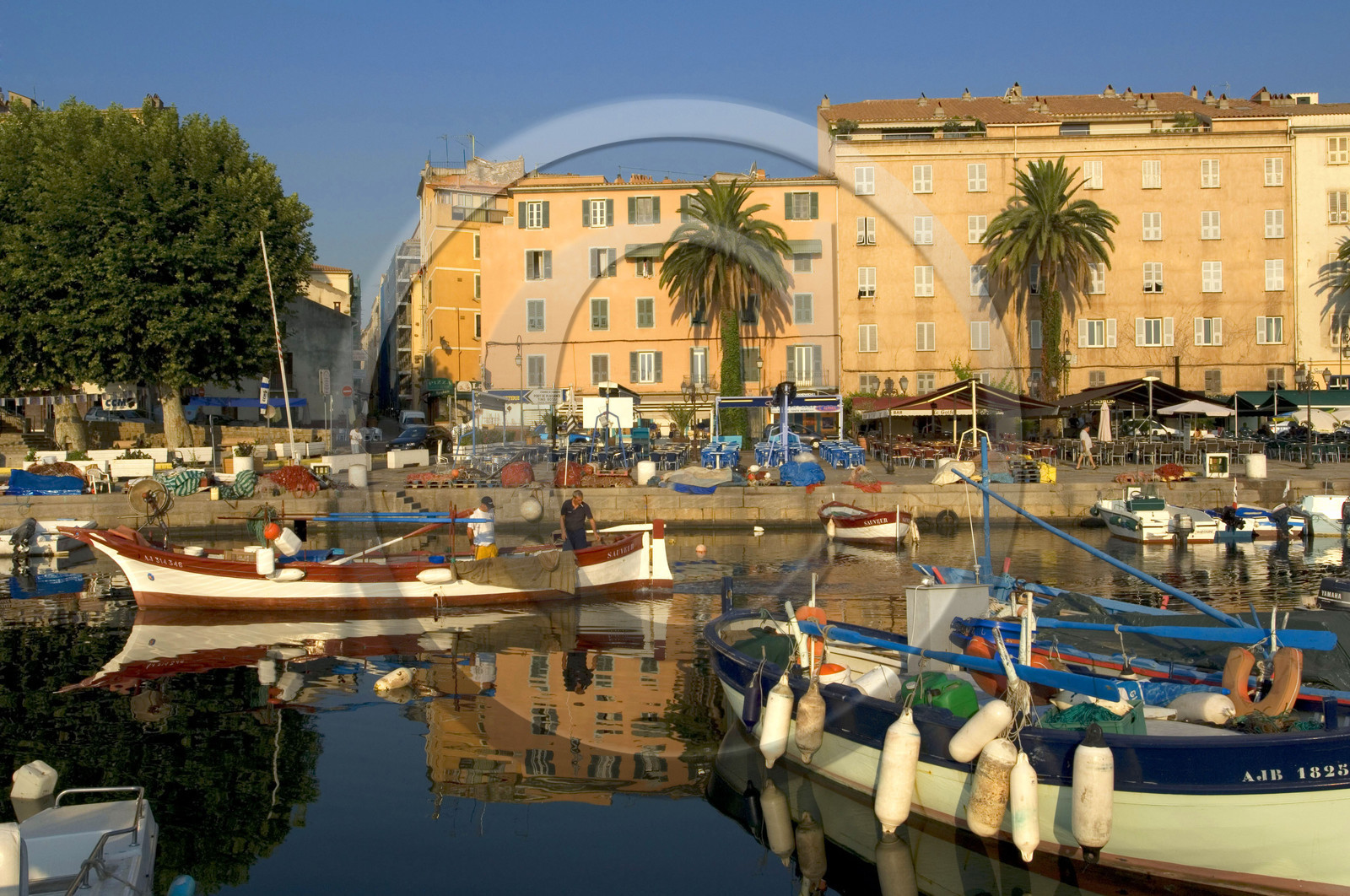 Ajaccio, Corse, France