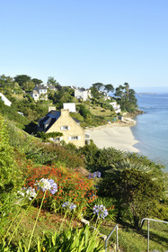 France, Aber