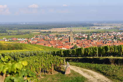 France, Dambach la Ville