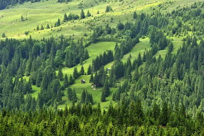 Roumanie, Maramures