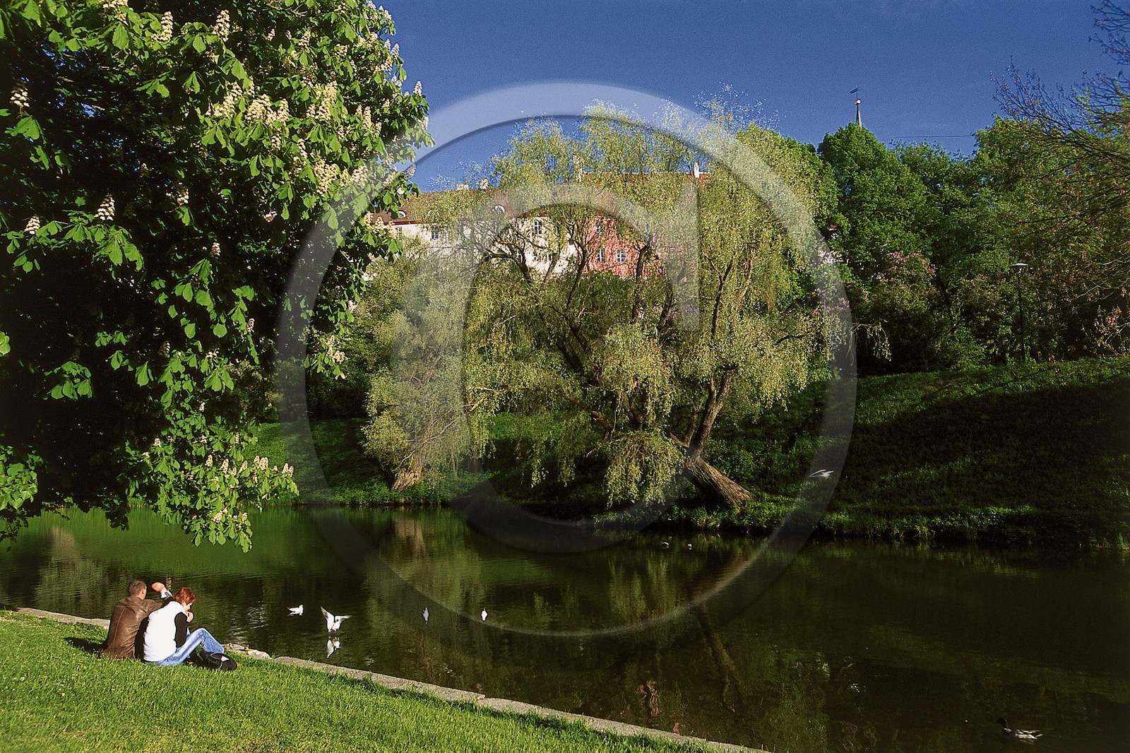 Estonie, Pays Baltes