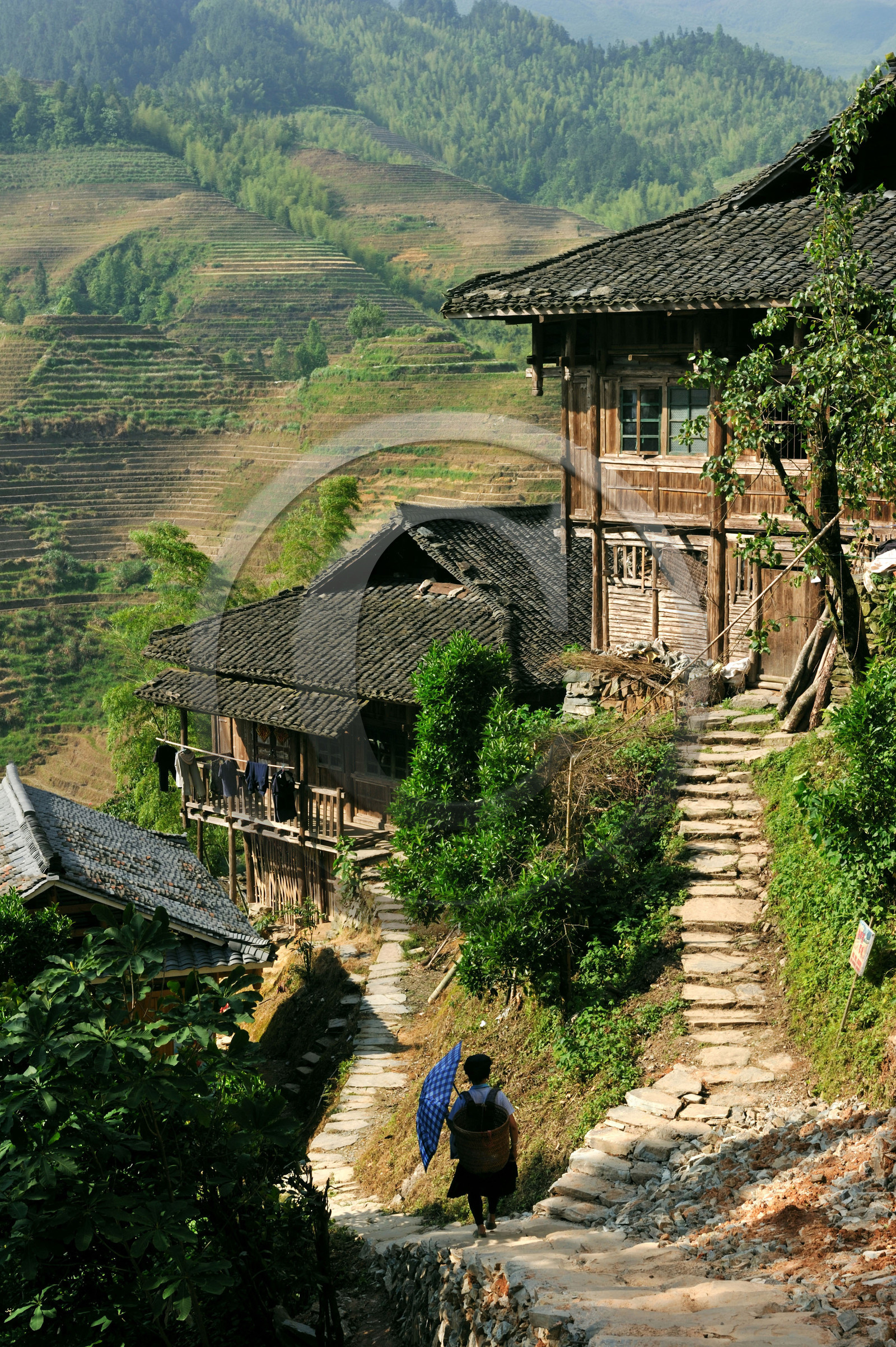 Chine, Longsheng