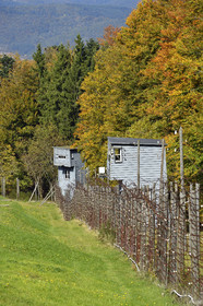 France, Struthof