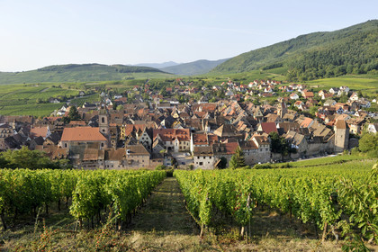 France, Riquewihr