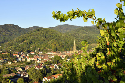 France, Thann