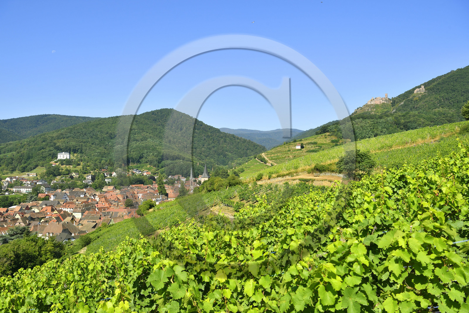 France,  Ribeauville