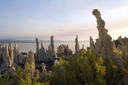 USA, MONO LAKE