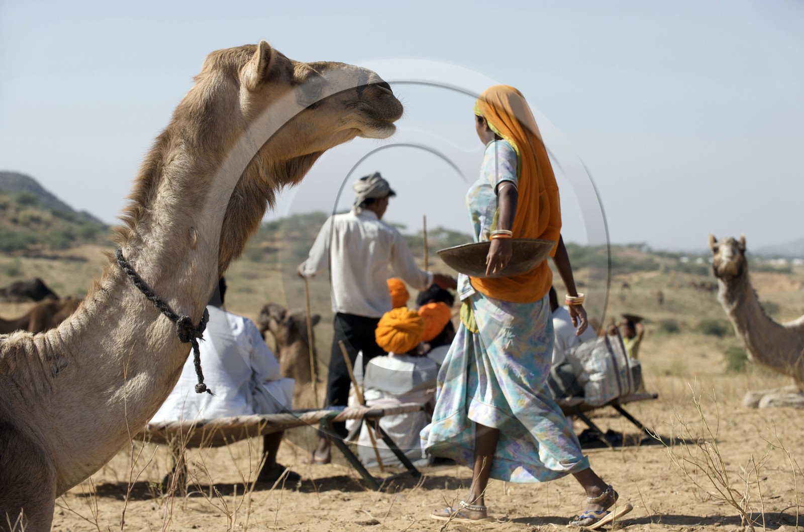 Inde, Pushkar