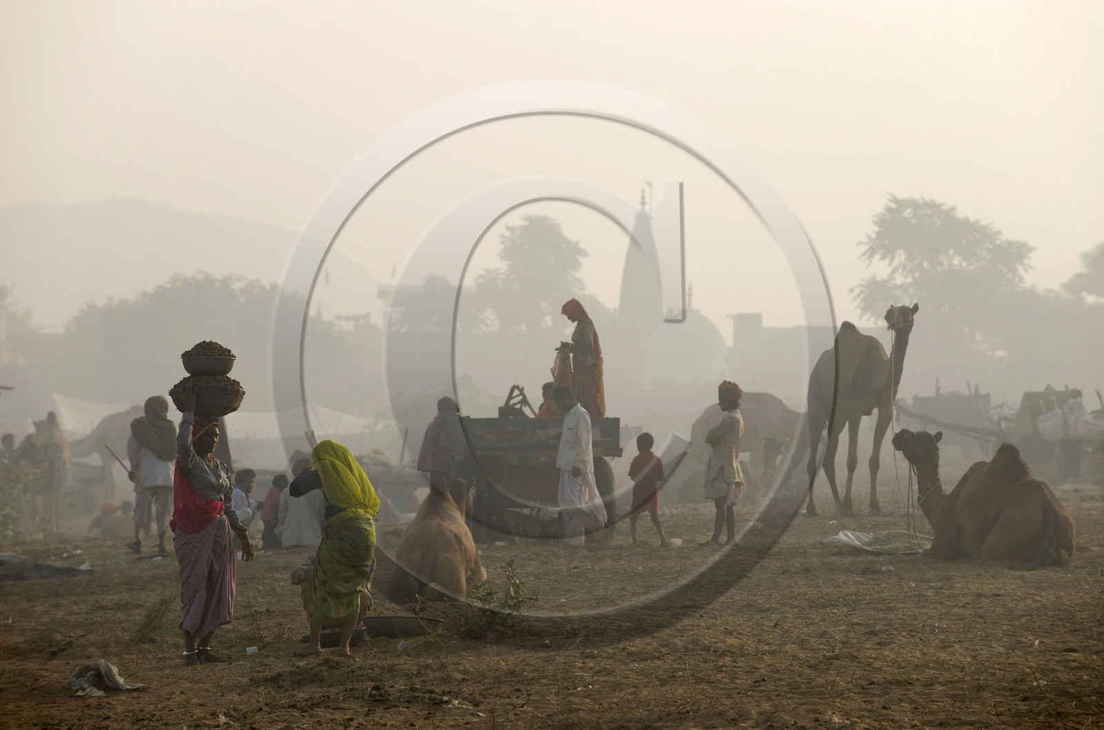 Inde, Pushkar