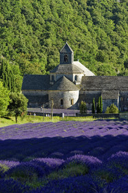 France, Senanque