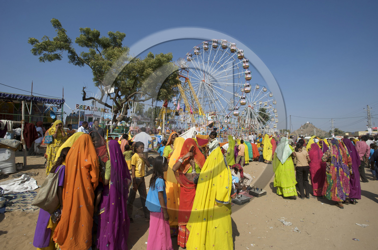 Inde, Pushkar