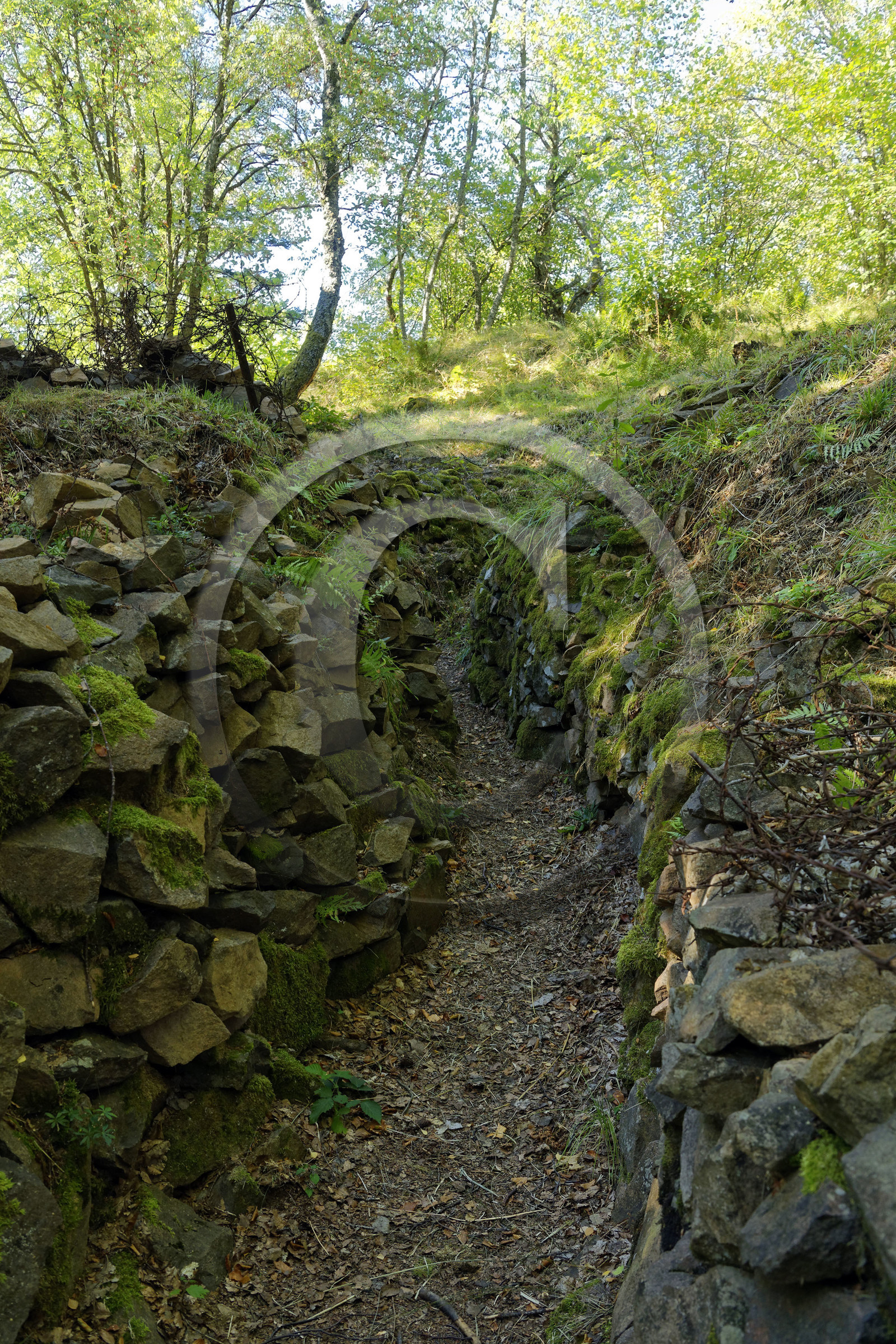 France, Hartmannswillerkopf