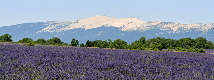 France, Sault