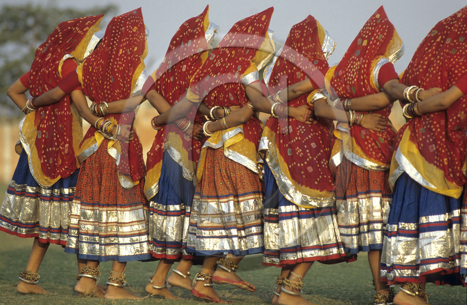Rajasthan. Inde