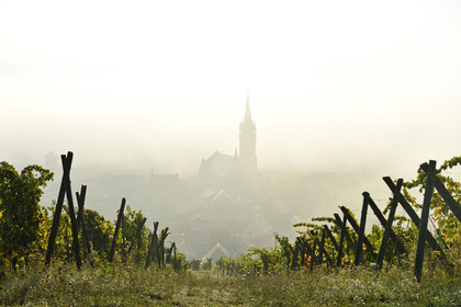 France, Dambach la Ville