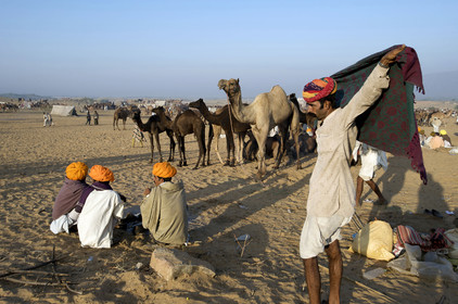 Inde, Pushkar