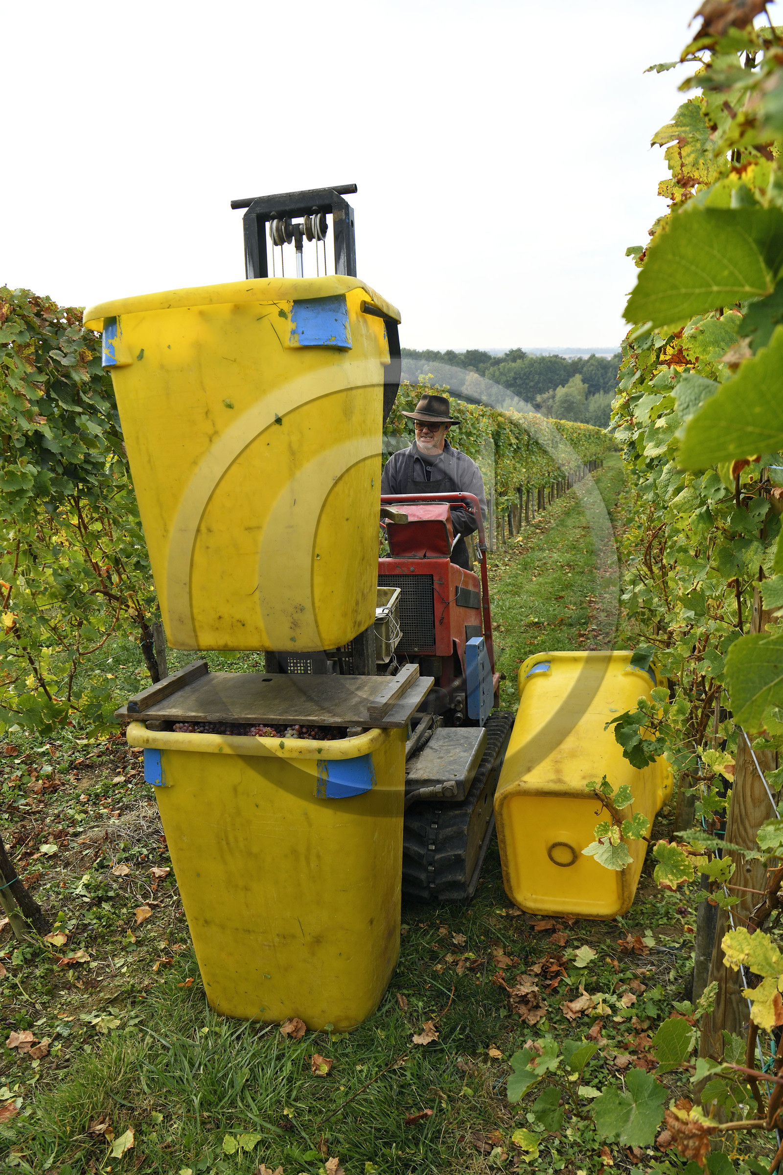 France, Dambach la Ville