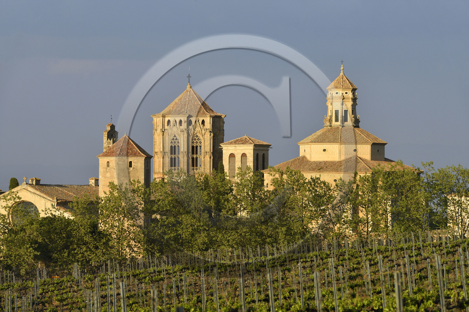 Espagne, Poblet