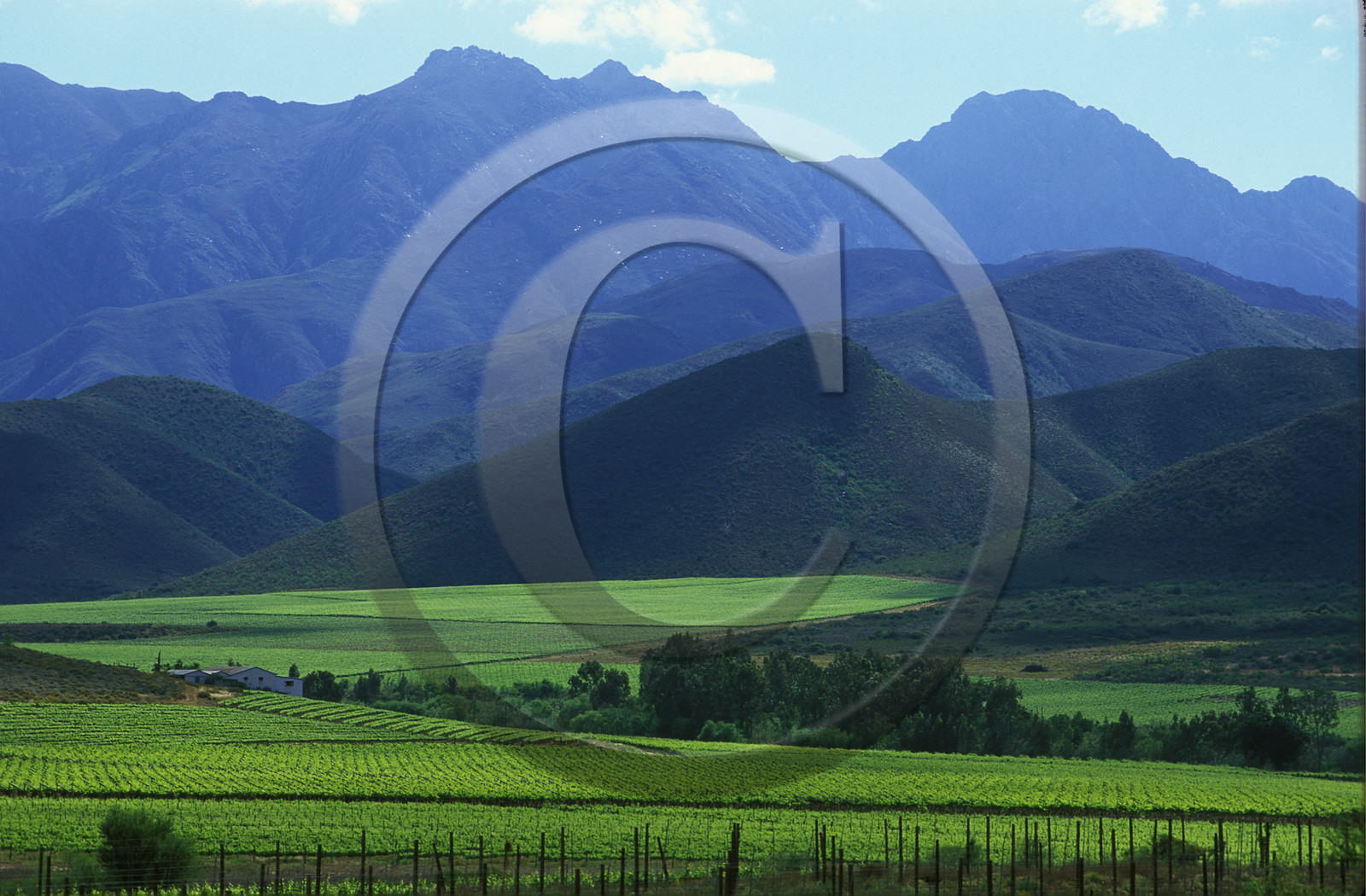 AFRIQUE DU SUD