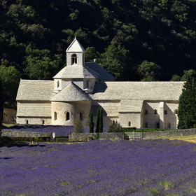 France, Senanque