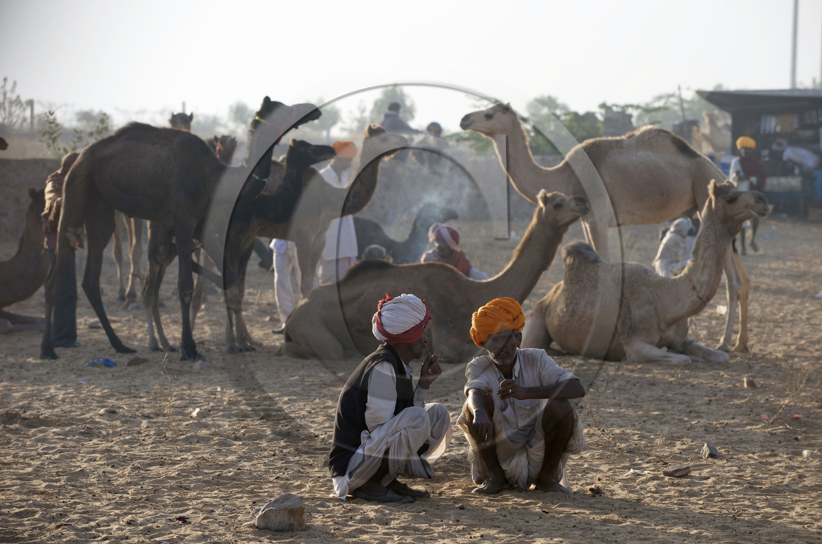Inde, Pushkar