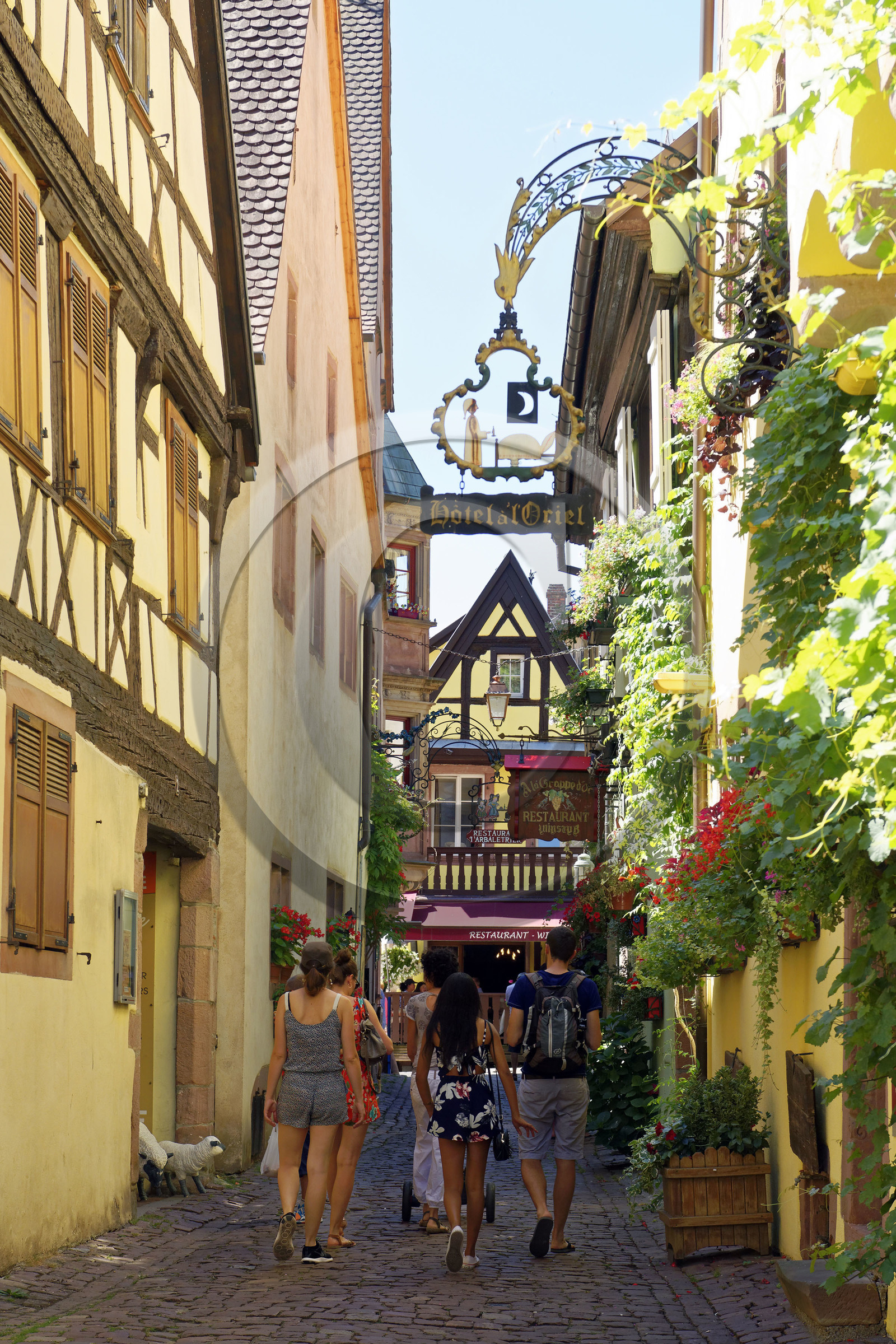 France,  Riquewihr