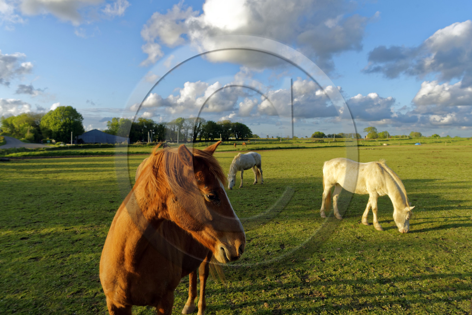 France, St Thegonnec