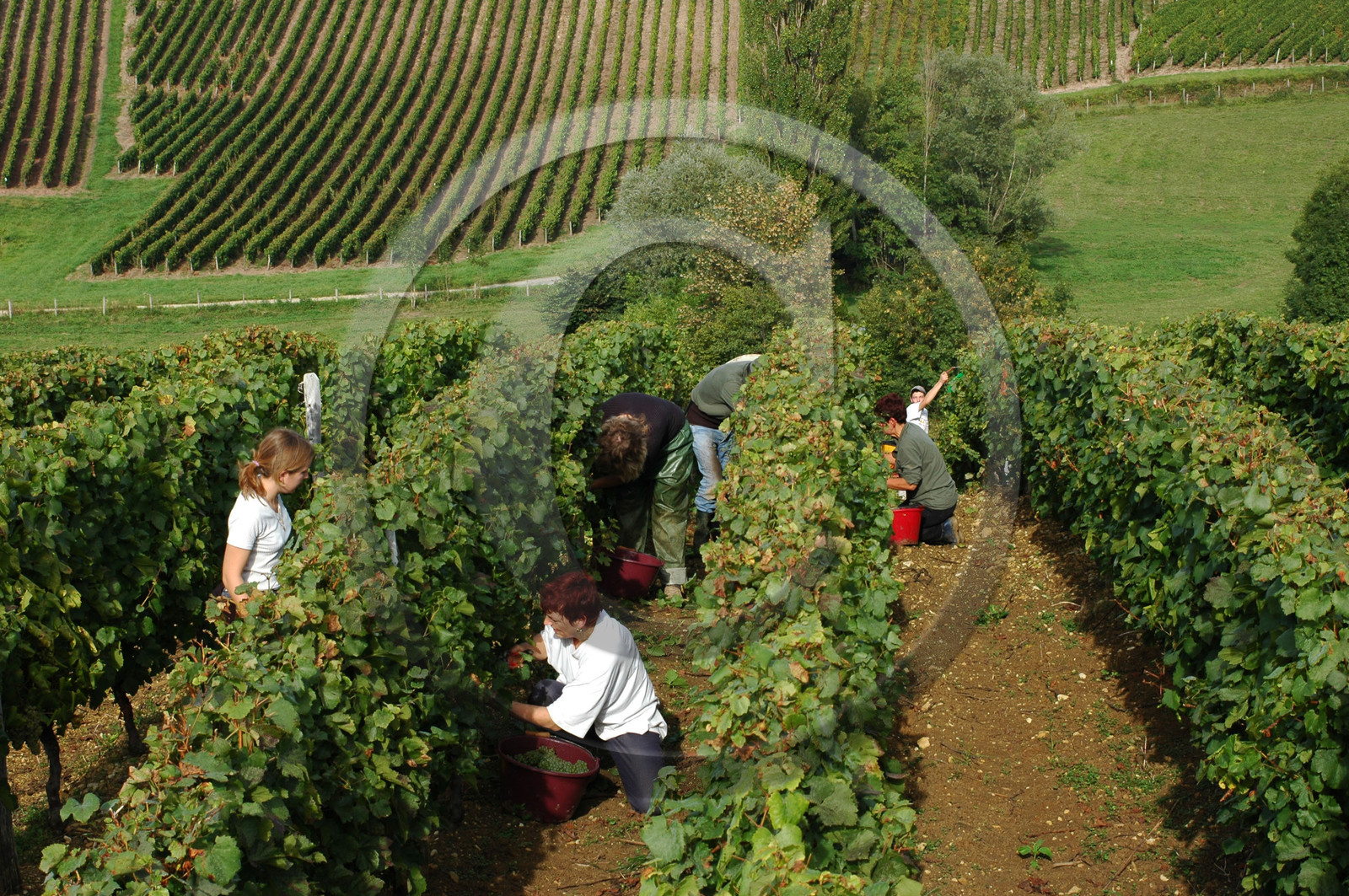 Franche-Comte, France