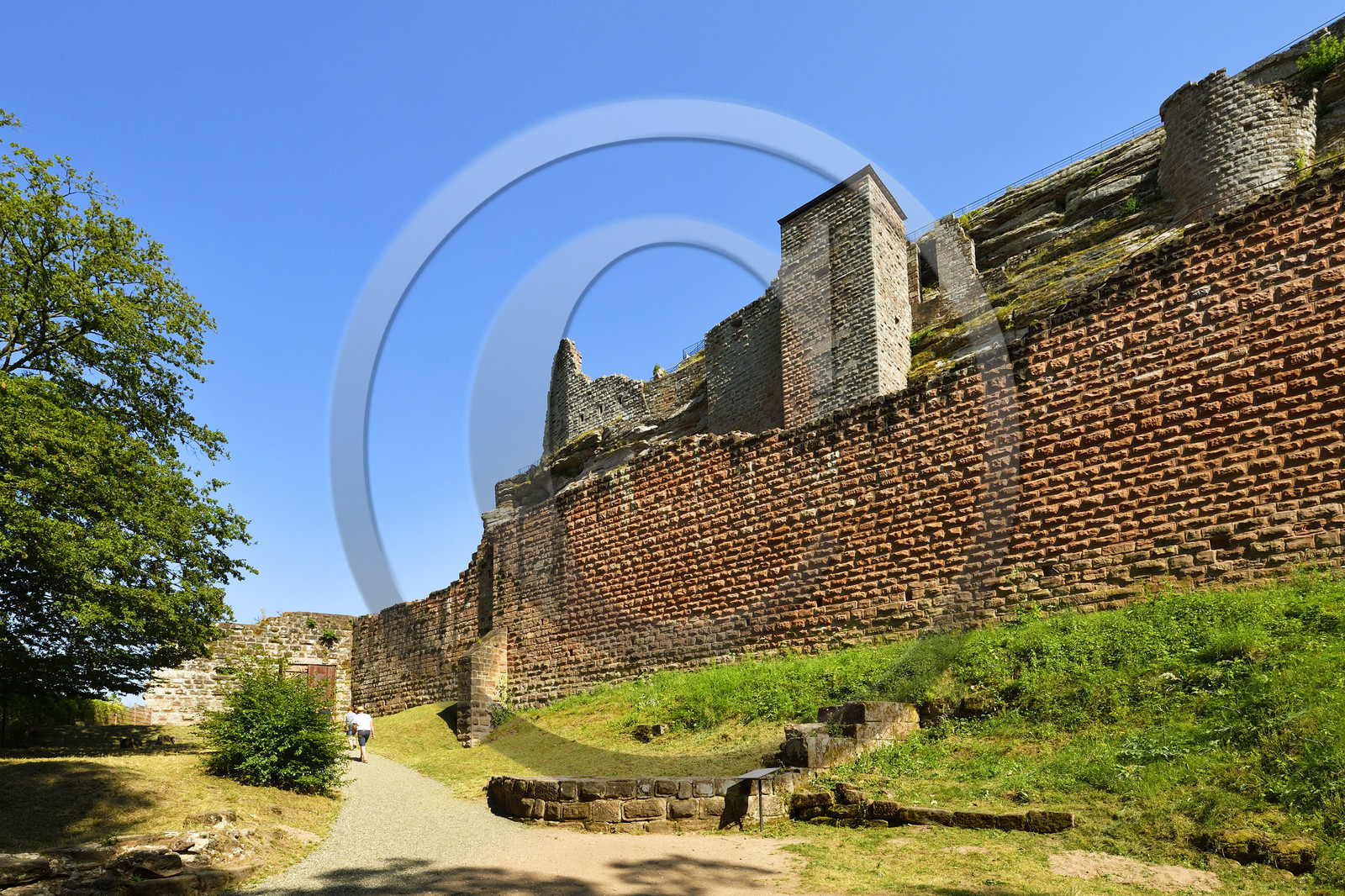 France, Fleckenstein