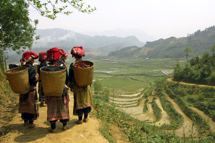 Nord-Vietnam