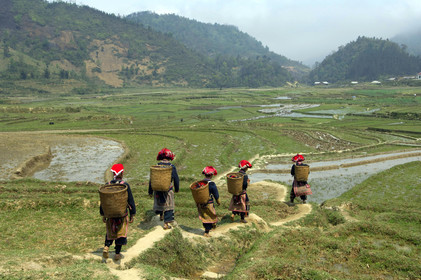 Nord-Vietnam