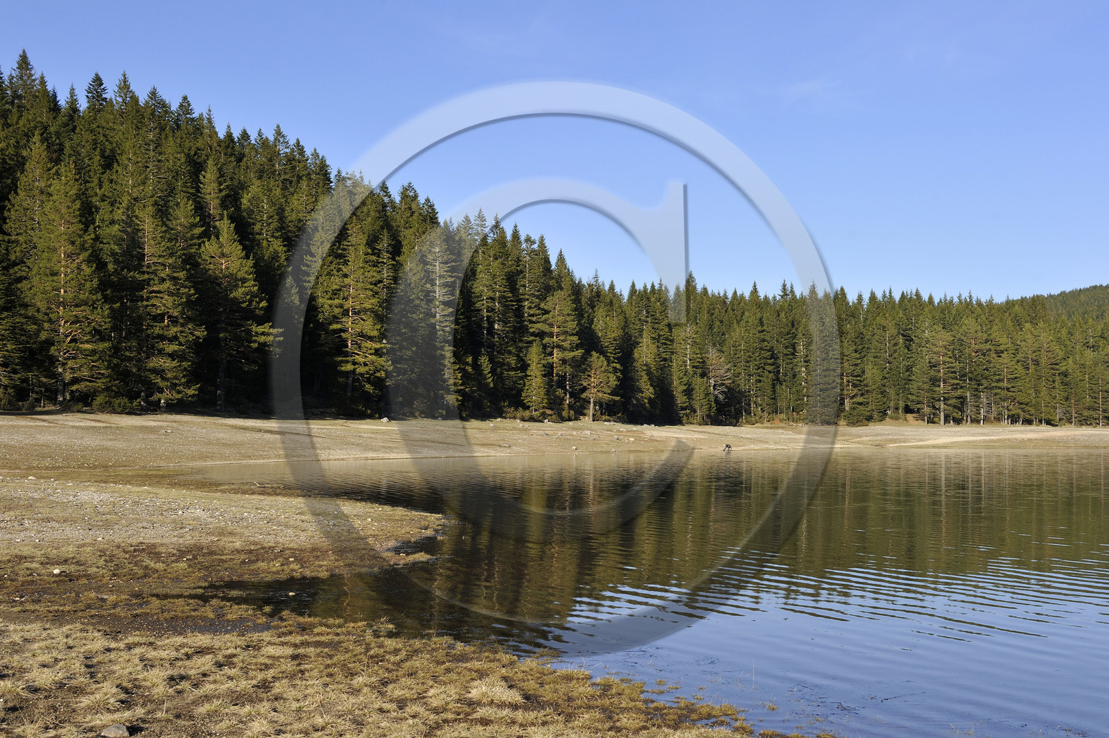 Montenegor, lac noir