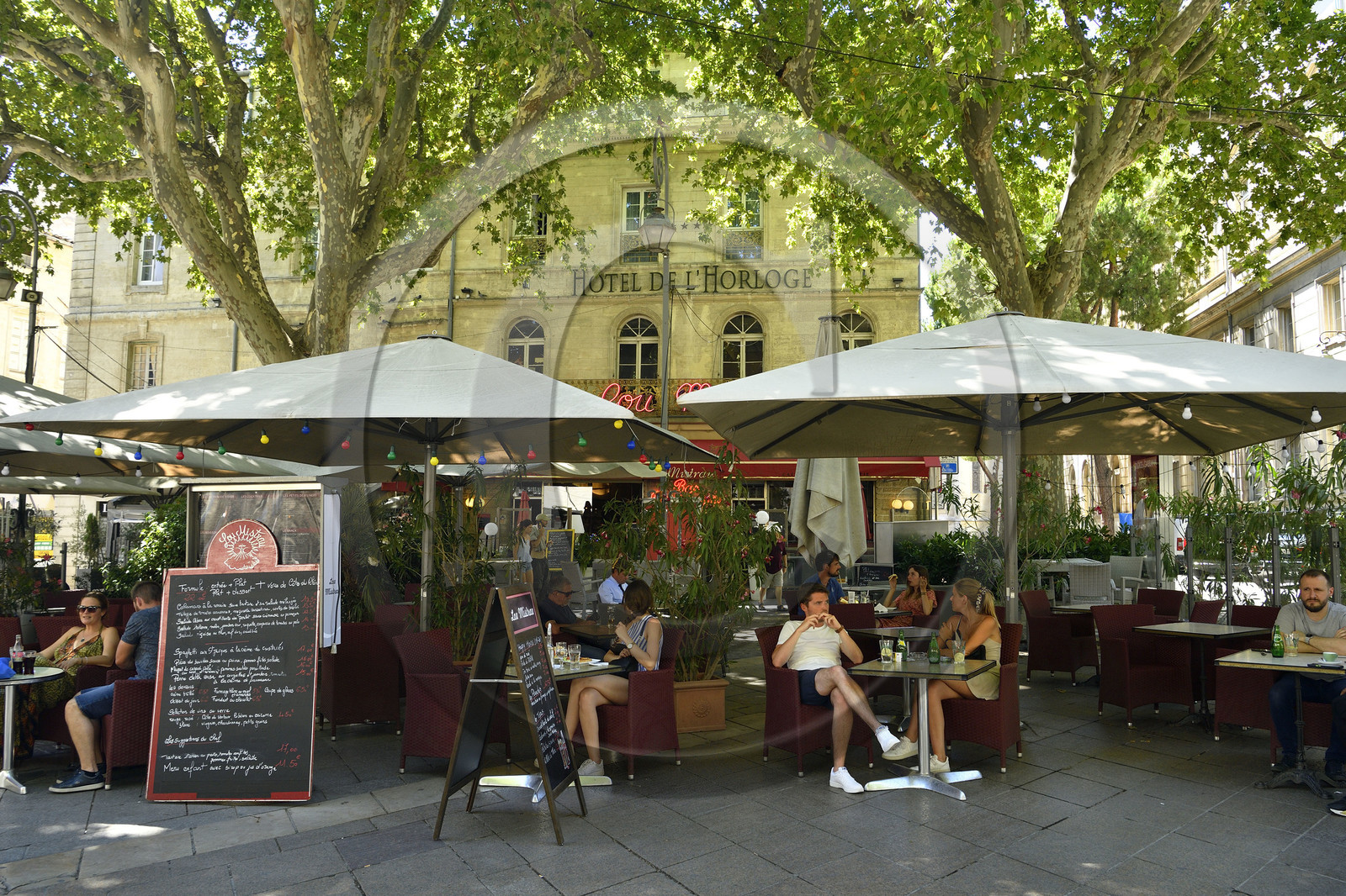 France, Avignon