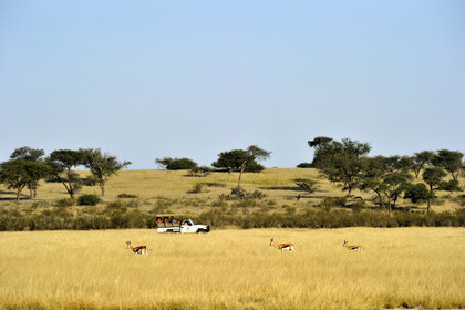 Namibie, Kalahari