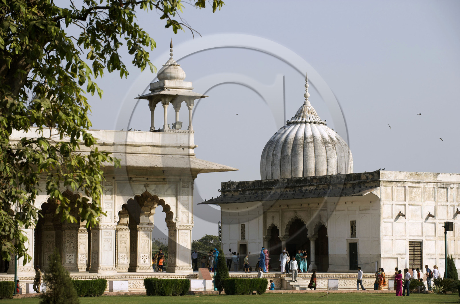 Inde, Delhi