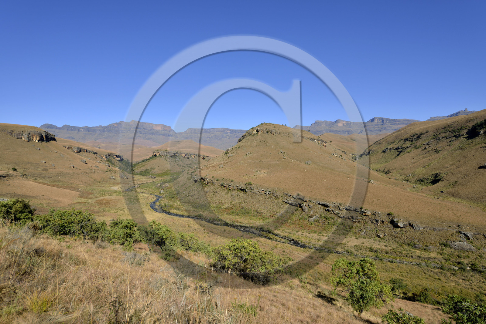 AFS, Drakensberg