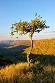 Namibie, Grootberg
