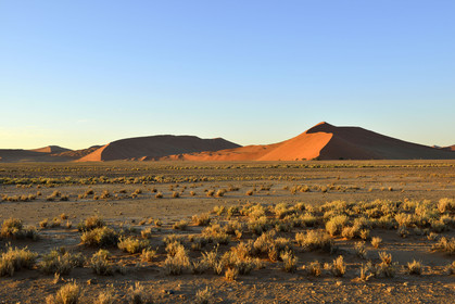Namibie, Sossusvlei