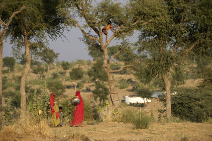 Inde, Rajasthan