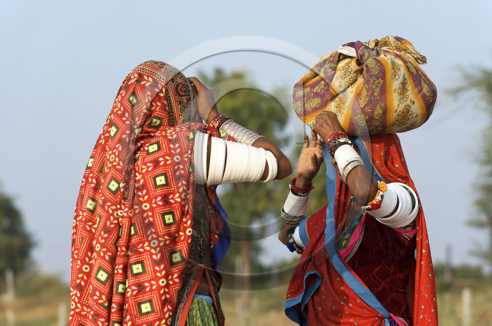 Inde, Gujarat