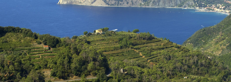 Italie, Cinque Terre