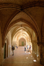 France, Valmagne