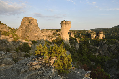 France, Moureze