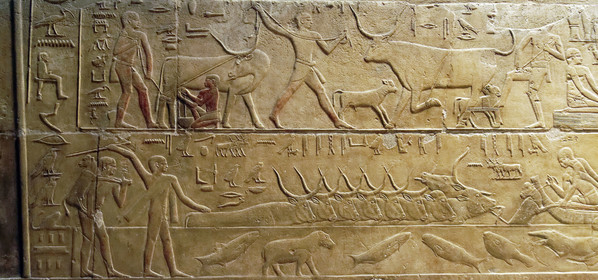 Egypte, Saqqara