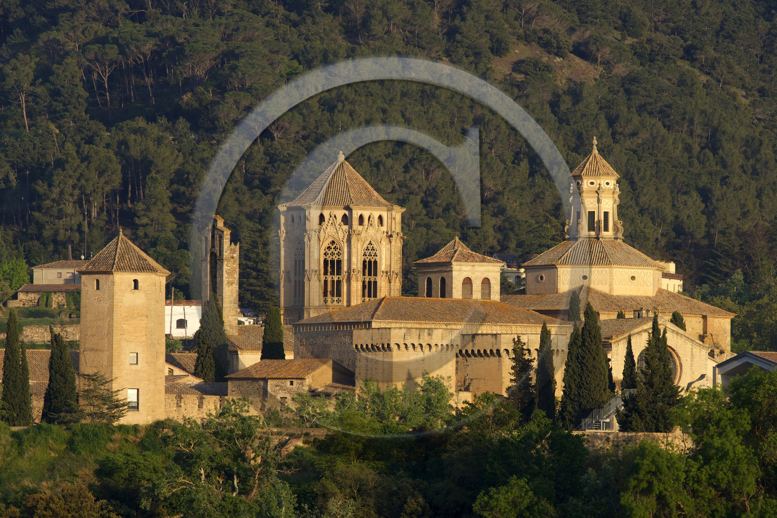 Espagne, Poblet