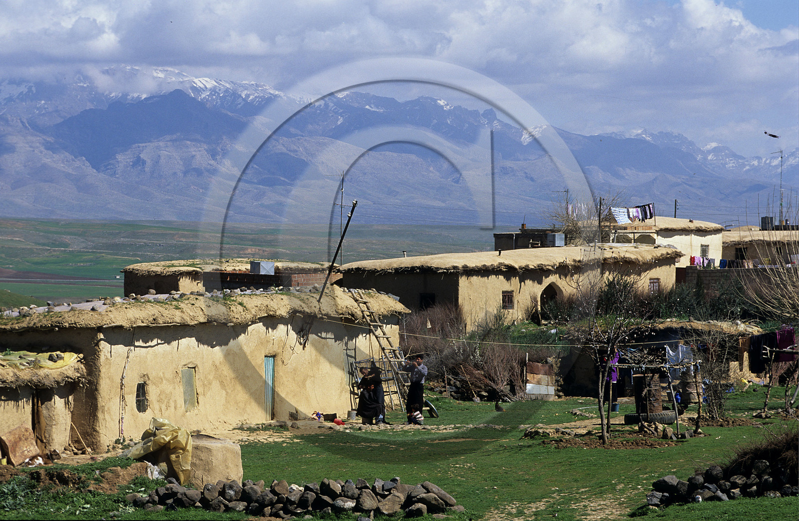 Syrie