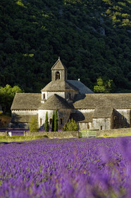 France, Senanque