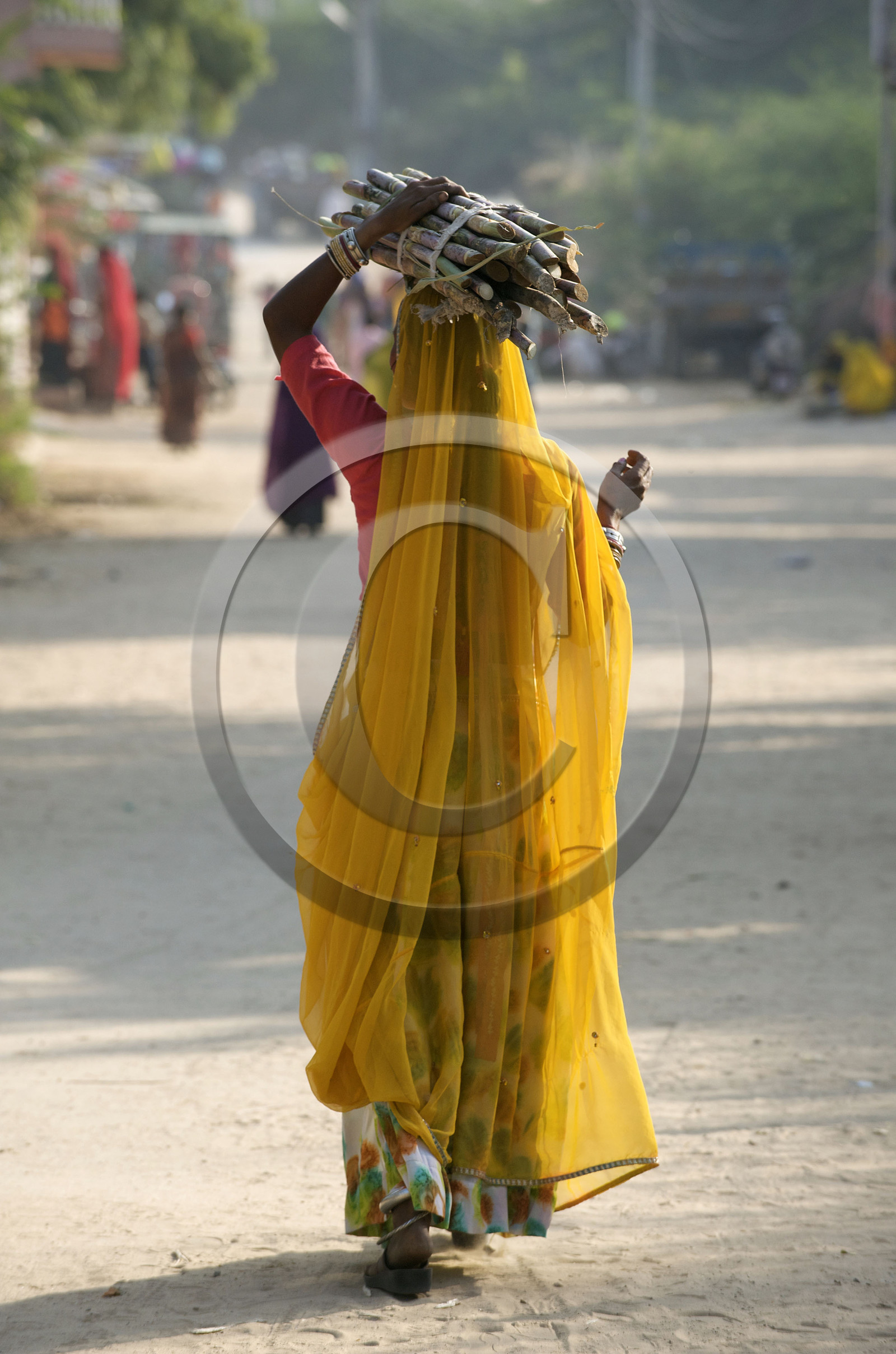 Inde, Pushkar